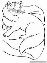 Kucing Mewarnai Tidur Dxf sketch template