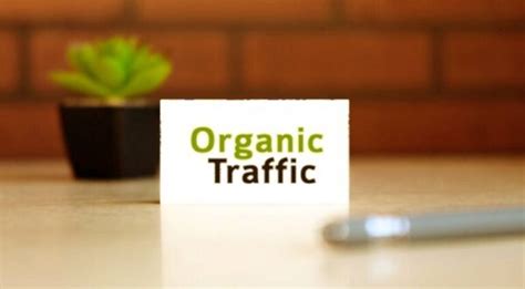 effective seo techniques  drive organic traffic