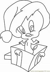 Coloring Tweety Bird Pages Santa Christmas Coloringpages101 Cartoons sketch template