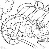 Chameleon Carle Reptiles Getdrawings Sheets Theme sketch template