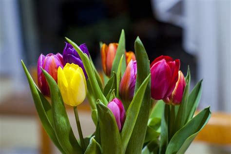 supermarket flowers bishop stevens blog