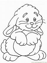 Bunnies Rabbits sketch template