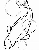 Beluga Whale Coloring Pages Printable Template Cliparts Drawing Animals Animal Letter Kids Color Popular Alphabet Homeschooling sketch template