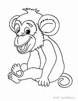 Sock Monkey Coloring Monkeys Getcolorings Pages sketch template