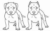 Pitbull Coloring Pages Drawing Printable Puppy Dog Pit Bull Dogs Drawings Educativeprintable sketch template