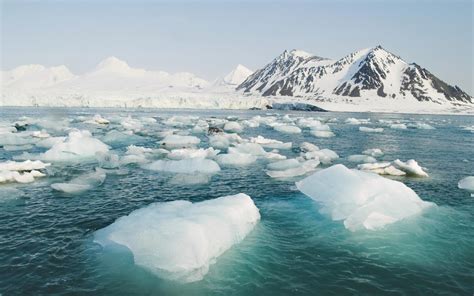 groninger onderzoekers ecosystemen noordpool ondergaan grote veranderingen door smeltend zee