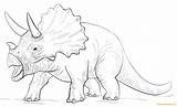 Triceratop Coloring Pages Dinosaur Color Print sketch template