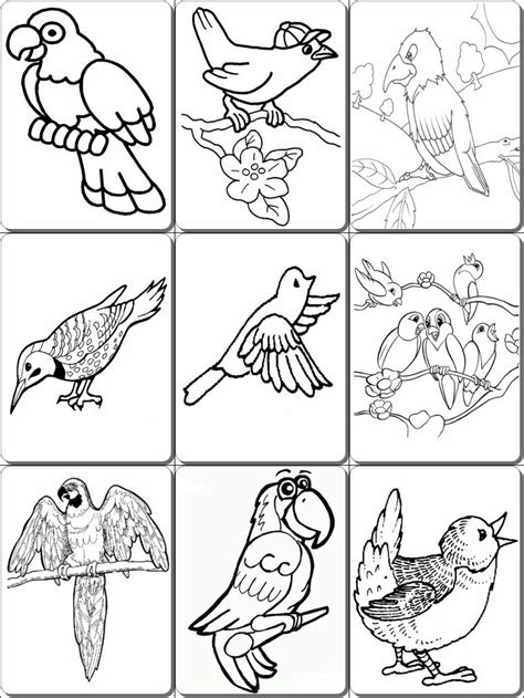 gambar angry birds space coloring pages  printable sheets