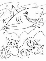 Crayola Sharks sketch template