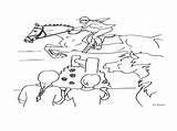 Jumping Pages Coloring Show Horse Getcolorings Getdrawings sketch template