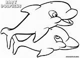 Baby Coloring Dolphin Pages Coloringway sketch template