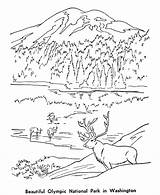 Coloring Wilderness National Park Olympic Designlooter sketch template