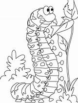 Caterpillar Chenille Satisfying Coloriages Colorier Ko Designlooter Coloringbay Bestcoloringpages sketch template