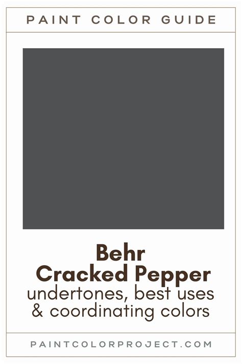 behr cracked pepper  complete color review  paint color project