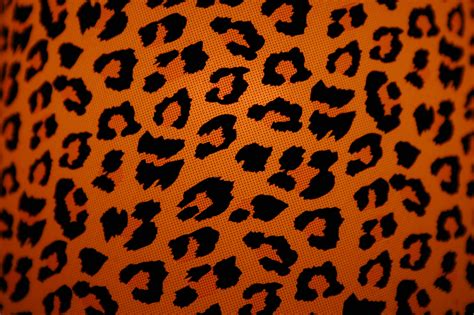 animal print backgrounds pixelstalknet