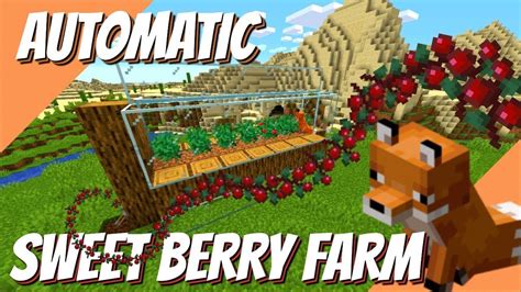 sweet berries minecraft top     update