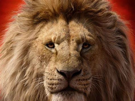 The Lion King Character Posters Simba Nala Timon Pumba