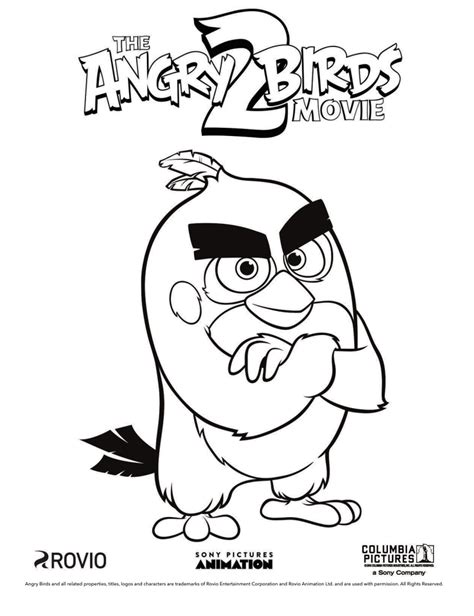 angry birds   printable coloring pages jinxy kids