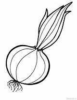 Coloring Onion Pages Vegetables Fruits Berries Cherry Getdrawings Color Recommended sketch template