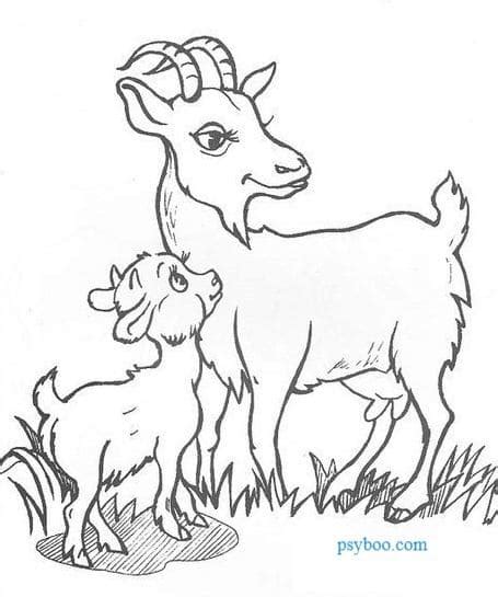 mother goat  baby goat coloring page  print  coloring books