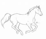 Horse Running Sketch Drawing Outline Line Horses Drawings Simple Sketches Easy Pencil Coloring Chronically Paintingvalley Deviantart Lineart Choose Board Corpse sketch template