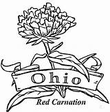 Ohio Coloring State Pages Brutus Buckeye Drawing Flower Carnation Pennsylvania Buckeyes Football Michigan Bow Majorette Color Flag Printable Msu Supercoloring sketch template