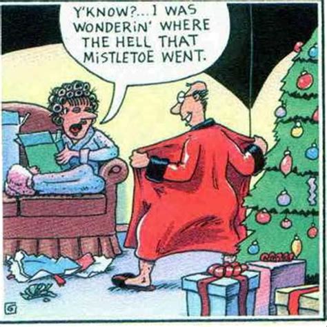 Funny Christmas Pictures 30 Pics Funny Christmas Cartoons