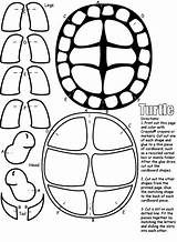 Turtles Crayola Tortuga Tortues Colouring Snapping Tortue Disfraz Crayons Prasekolah Fête Disfrazarse Filminspector Getdrawings Pulapah Together Directions Armar sketch template