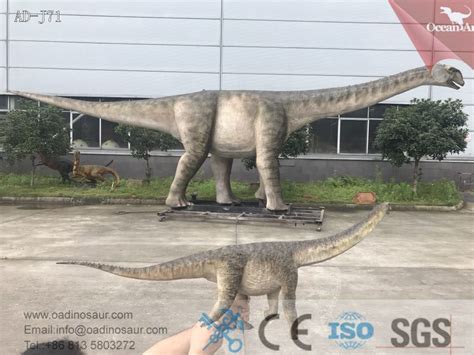 Best Animatronic Dinosaur For Sale Real Life Size Dinosaur Replica