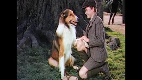 lassie come home 1943 imdb