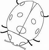 Ladybug Coloring Marienkäfer sketch template