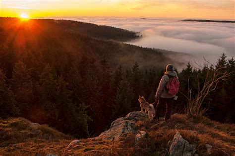 natur erleben im nationalpark harz natur erleben nationalpark harz