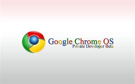 google chrome os logo qleroshirt