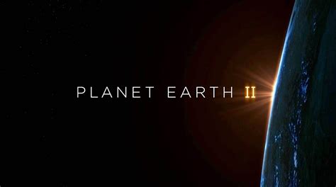 bbcs planet earth ii series narrated  david attenborough tools