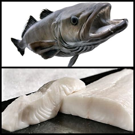 Kendall S Kitchen Prosciutto Wrapped Chilean Sea Bass