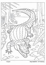 Coloring Pages Swamp Kids Animals Printable Snake Reptiles Color Colouring Alligator Animal Getcolorings Ginger Foster Fish Dover Publications Welcome sketch template