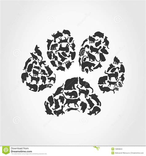 Trace Of A Cat Stock Images Image 19859844