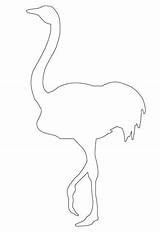 Autruche Ostrich Contour Contorni Struzzo Supercoloring Exclusif sketch template