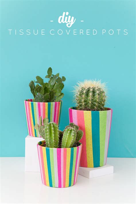 diy tissue paper covered pots  love  party