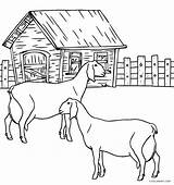 Farm Coloring Pages Animal Animals Printable Kids Color Cool2bkids Print Goats Getdrawings Getcolorings sketch template