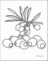 Coloring Olive Olives Fruit Getcolorings Pages Color Clip Printable sketch template