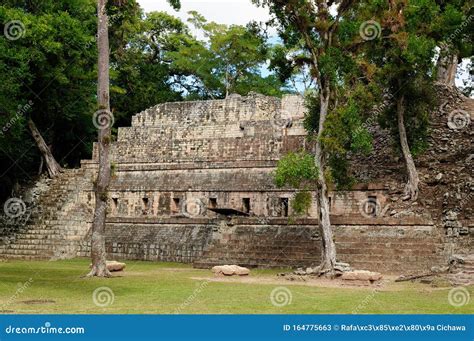 copan mayan ruins  honduras stock image image  indian