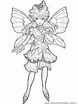 Coloring Pages Fairy Adult Pheemcfaddell Midsummer Dream Colouring Mystical Mythical Fairies Puppet Print Kids sketch template