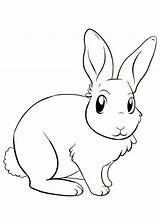 Colorare Coniglio Conigli Coelho Disegno Coniglietto Disegnare Pianetabambini Coniglietti Copiar Rabbit Cartoni sketch template