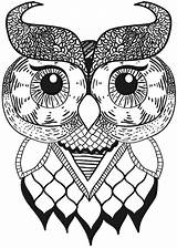 Owl Pages Coloring Adults Owls Printable Detailed Animal Drawing Drawings sketch template