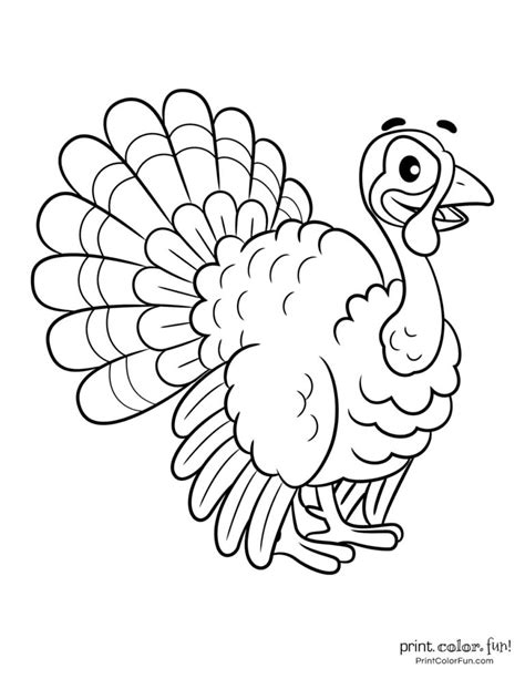terrific thanksgiving turkey coloring pages    printable