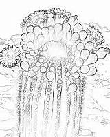 Cactus Coloringpagesonly Saguaro sketch template