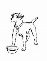 Dog Coloring Pages Dogs Kids Coloringpages1001 Hund sketch template