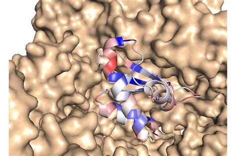 artificial intelligence  teach   proteins