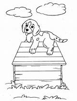 Puppy Caseta Edificios Adults sketch template